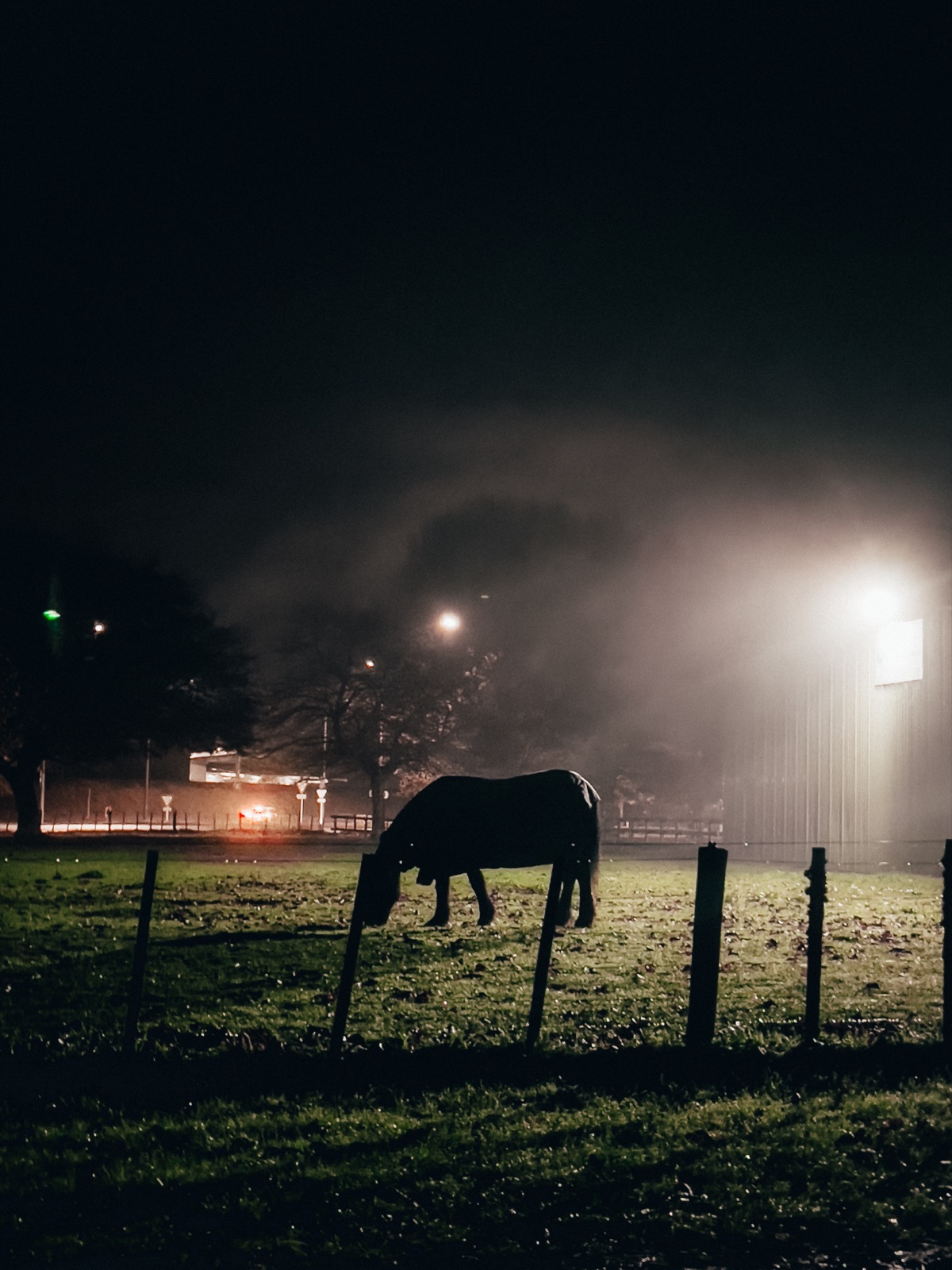 A foggy scene with atmospheric depth compression and soft contrast